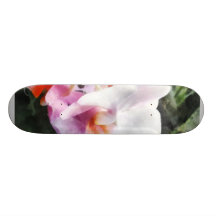Pale Pink Phalaenopsis Orchids Skateboards