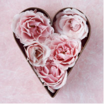 pale pink roses in a cookie cutter photo sculpture