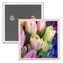 Pale Pink Tulip Flowers