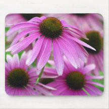 Pale Purple Coneflower II Mousepad