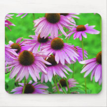 Pale Purple Coneflowers Mouse Pad