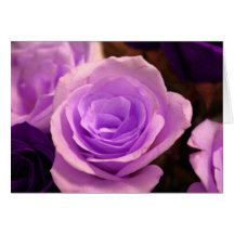 Pale Purple Rose Card