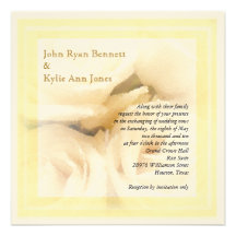 Pale White Rose Invitation