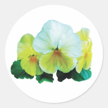 Pale Yellow Pansies Round Stickers