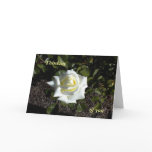Pale Yellow Rose:  Thinking, of you cards