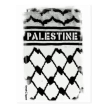 Palestine Keffiyah Post Cards