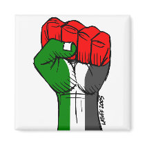 Palestine magnet magnets