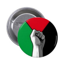 palestine pins