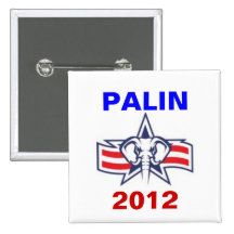 PALIN 2012 PIN