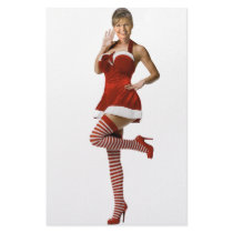 Palin Christmas(t shirt, xmas cards, buttons)