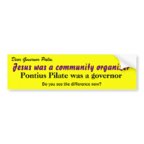 Palin Primer - Bumper Sticker