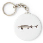 Pallid Sturgeon - Scaphirhynchus albus Key Chains