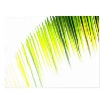 Palm Abstract (postcard)