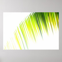 Palm Abstract (poster)
