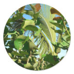 Palm And Plant Leaves Sticker