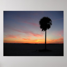 Palm at Sunset Posters