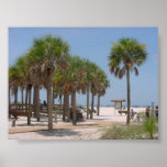 Palm Beach Print