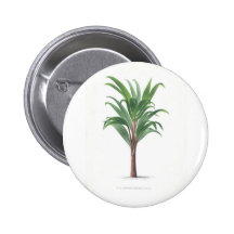 Palm collection - Drawing III Button