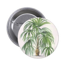 Palm drawings Collection Pinback Buttons
