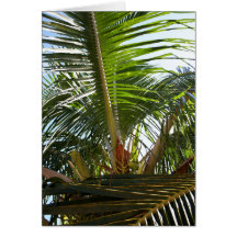 Palm Frond Card