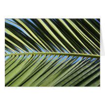 Palm Frond Cards