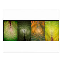 Palm Frond Collage Post Cards