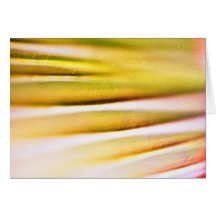 palm frond detail greeting card
