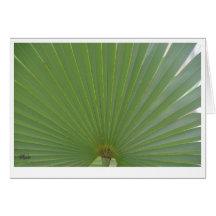 Palm Frond Greeting Card