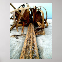 Palm Frond Posters