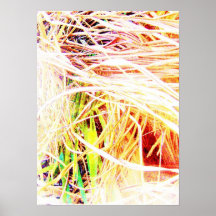 Palm Frond Posters
