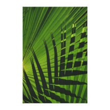 Palm Frond Print on Canvas Canvas Prints