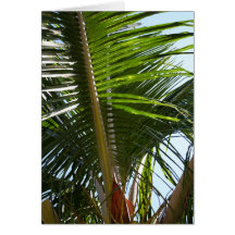 Palm Frond Too Card