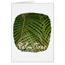 Palm Fronds with Palm Tree white text tropical Card