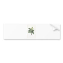 Palm illustration series - plate 7 bumper sticker