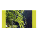 Palm Leaf Frond, Bucerias, Mexico Personalized Photo Card