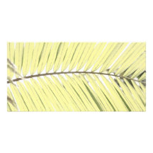 Palm leaf personalized photo card
