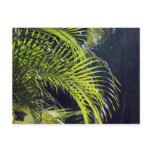 Palm Leaves in a Bucerias Garden Post Card