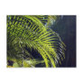 Palm Leaves in a Bucerias Garden Post Card