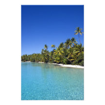 Palm lined beach Cook Islands 2 Art Photo