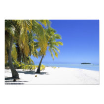 Palm lined beach Cook Islands 2