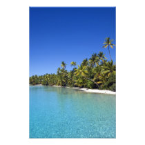 Palm lined beach Cook Islands 2