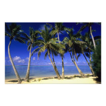 Palm lined beach Cook Islands 3