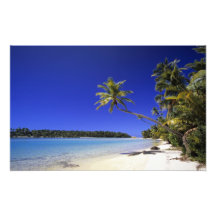 Palm lined beach Cook Islands 4 Photograph