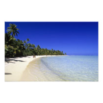 Palm lined beach Cook Islands 5
