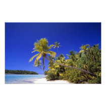 Palm lined beach Cook Islands 8