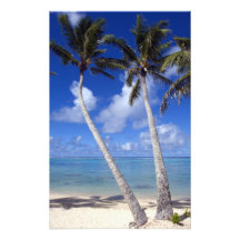 Palm lined beach Cook Islands Photograph