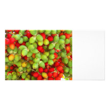 palm nuts green and red. photo cards