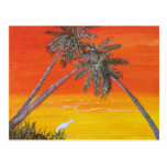 PALM POST CARD