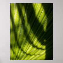 Palm Shadow Poster