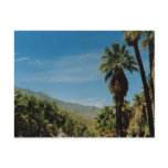 Palm Springs View Post Card